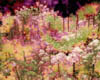 digital infrared flowers